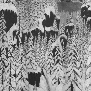 Paysage D'hiver – Schattengang (1CD)