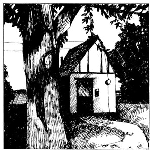 Lewis, Naomi – Cottage Songs vinyl