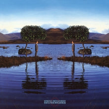 Dickinson, Bruce – Skunkworks vinyl