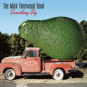 Mick Fleetwood Band – Something Big cd