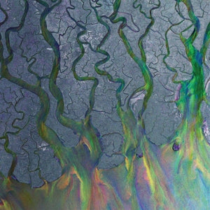 ALT-J – An Awesome Wave vinyl