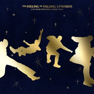 5 Seconds of Summer – The Feeling of Falling Upwards vinyl