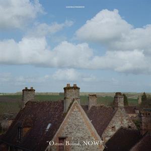Axefield – Ostuni Bound, Now! (1LP Vinyl)