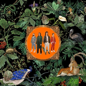 Don Broco – Amazing Things (1LP Vinyl)
