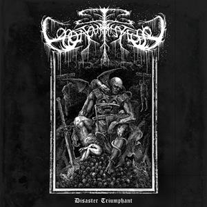 Bonjour Tristesse – Disaster Triumphant (1LP Vinyl)