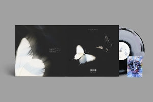 Chase Atlantic – Dalliance (1LP, Coloured Vinyl)