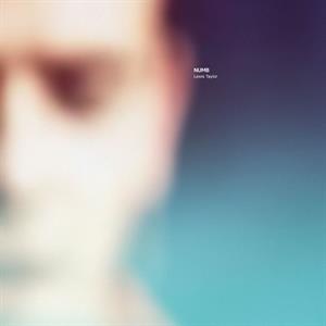 Lewis Taylor – Numb (2LP Vinyl)
