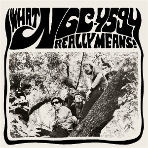 Ngc-4594 – What Ngc-4594 Really Means! (2LP Vinyl)