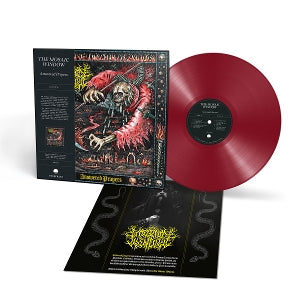 Mosaic Window – Answered Prayers (1LP Vinyl)