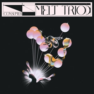 Melt Trio – Consumer (1LP Vinyl)