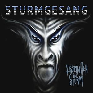 Sturmgesang – Erschaffen Im Sturm (1LP Vinyl)