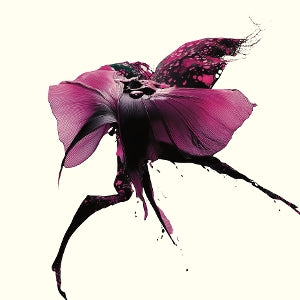 Sato, Nanaco – Lust vinyl