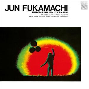 Fukamachi, Jun – Introducing vinyl