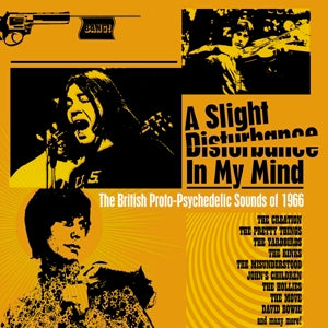 V/A – A Slight Disturbance In My Mind cd