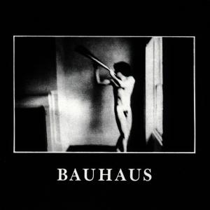 Bauhaus – In the Flat Field cd