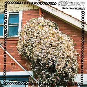 Surprise Chef – Daylight Savings (1LP Vinyl)