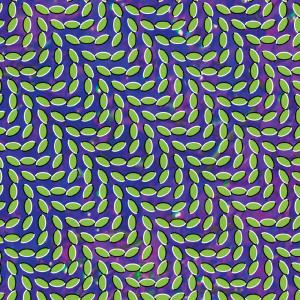 Animal Collective – Merriweather Post Pavilli (2LP Vinyl)