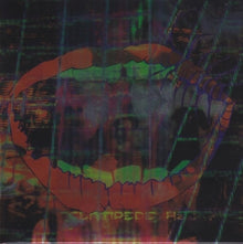 Animal Collective – Centipede Hz cd