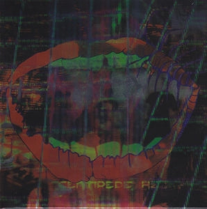 Animal Collective – Centipede Hz (1CD)
