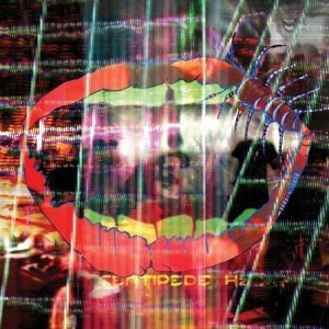 Animal Collective – Centipede Hz (1CD)