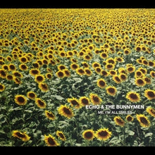 Echo and the Bunnymen – Me, I'm All Smiles cd