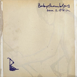 Babyshambles – Down In Albion vinyl