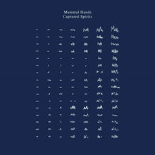 Mammal Hands – Captured Spirits cd