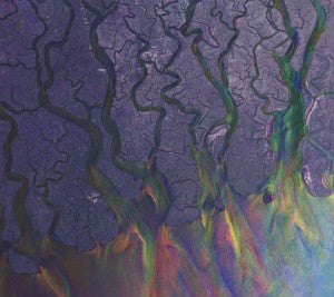 Alt-J – An Awesome Wave (1CD)
