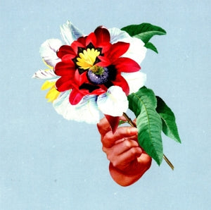 Maribou State – Kingdoms In Colour (1CD)