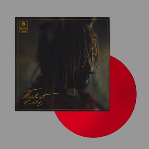 Thundercat – It is What It is vinyl