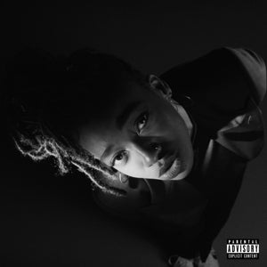 Little Simz – Grey Area vinyl