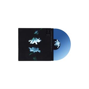 Wasia Project – Nocturne (2LP, Coloured Vinyl)
