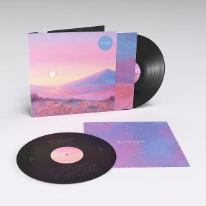 Strawberry Guy – Give Me a Dream (2LP-Vinyl)