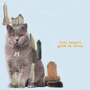 The Brian Jonestown Massacre – Fire Doesn't Grow On Trees (1CD)