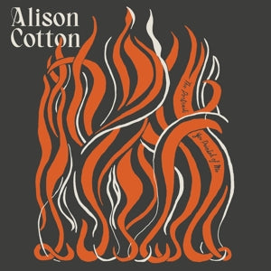 Cotton, Alison – Portrait You Painted of Me vinyl