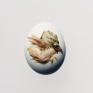 Shygirl – Swallow! cd