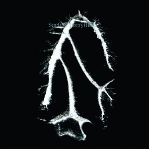 Seefeel – Everything Squared (1 CD)