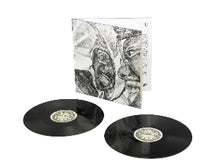 Mike & Tony Seltzer – Pinball I & Ii vinyl