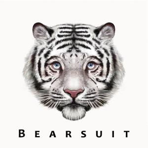 Bearsuit – Phantom Forest (1 CD)