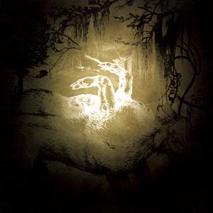 Polar Bear – Held On the Tips of Fingers vinyl