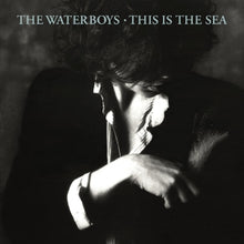 Waterboys – This is the Sea cd