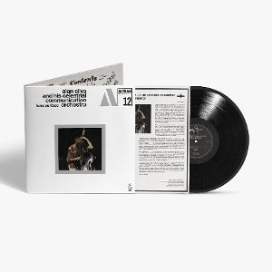Alan Silva and His Celestrial Communication Orchestra – Luna Surface vinyl