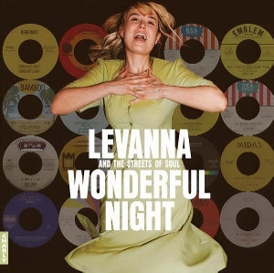 V/A – Wonderful Night Curated By Levanna cd