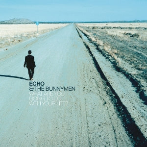 Echo and the Bunnymen – What Are You Going To Do With Your Life? (1LP, farbiges Vinyl)