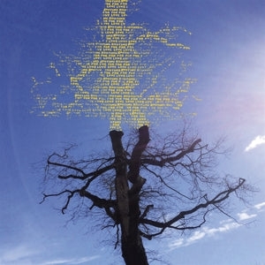 Sadier, Laetitia – Rooting For Love vinyl
