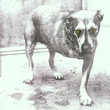 Alice In Chains – Alice In Chains cd