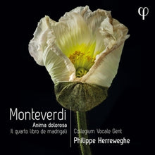 Collegium Vocale Gent – Monteverdi: Il Quarto Libro De Madrigali cd