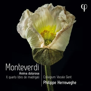 Collegium Vocale Gent – Monteverdi : Il Quarto Libro De Madrigali (1 CD)