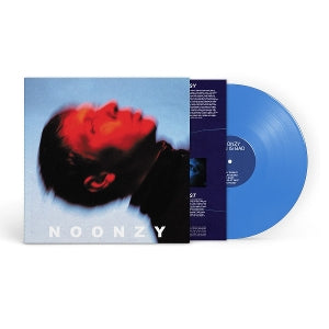 Noonzy – Plan is Bad (1LP Vinyl)