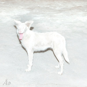 Ao – Malandra cd